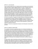 REPLICAS A FORO ADMINISTRATIVO JETAIRWAYS.