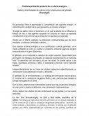 PROBLEMA AMBIENTAL (PRODUCTO DE UN EFECTO SINERGICO )