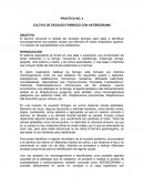 Urocultivo y exudado.