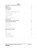 MECANISMO DE PRECISION.