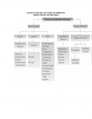 ESTRUCTURA DEL ESTADO COLOMBIANO (FUNDAMENTO DERECHO DE SOCIEDADES)