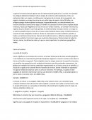 Los primeros intentos de representar el mundo