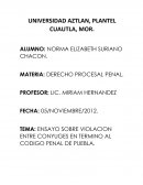 TEMA: ENSAYO SOBRE VIOLACION ENTRE CONYUGES EN TERMINO AL CODIGO PENAL DE PUEBLA.