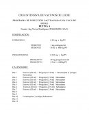 Programas y costos de inducción de lactacion.