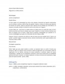 Diagnostico externo organizacional.