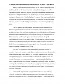 Las Medidas de seguridad para proteger la información del cliente y de la empresa