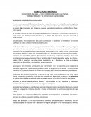 Los principales microorganismos del suelo contribuyen a solubilizar y mineralizar las fuentes nutritivas así como a mejorar la estructura del suelo.