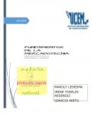 Análisis de la situación de la empresa