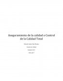 Aseguramiento de la calidad o Control de la Calidad Total.