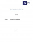Opinion articulo 70 de la constitucion