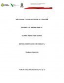 TODAS LAS TÉCNICAS OPERANTES DEL DESARROLLÓ