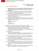 CASO 1: CASO COLOURS.NET
