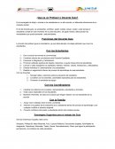 ¿Que es un Profesor o Docente Guía?