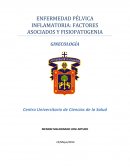 ENFERMEDAD PÉLVICA INFLAMATORIA: FACTORES ASOCIADOS Y FISIOPATOGENIA