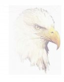 Educación inclusiva - Bullying