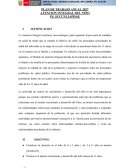 PLAN DE TRABAJO ANUAL 2017 ATENCION INTEGRAL DEL NIÑO