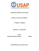 Actividad 4: Selección de la muestra Métodos y Técnicas de Investigación