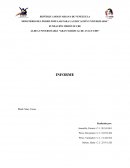 SALUD, DESARROLLO Y AMBIENTE