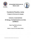 El Smog y Contaminación en el Aire de México