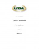 Tecnicas de supervision.