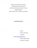 Analisis de Proyecto de Investigación