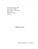 Núcleo temático I. Diversidad Cultural