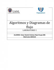 Algoritmos y Diagramas de flujo LABORATORIO 1. Página 1