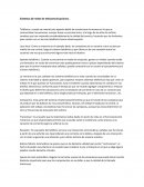 Sistemas de redes de telecomunicaciones.