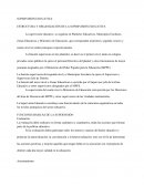 SUPERVISIÓN EDUCATIVA ESTRUCTURA Y ORGANIZACIÓN DE LA SUPERVISIÓN EDUCATIVA