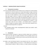 CAPÍTULO I CONSTRUCCIÓN DEL OBJETO DE ESTUDIO