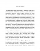 GRUPOS DE INCOTERMS.