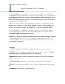 LAS REDES SOCIALES MÁS UTILIZADAS