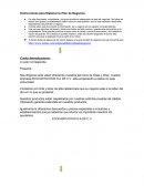 Instrucciones para Elaborar tu Plan de Negocios ECOCARTUCHOS S.A DE C.V