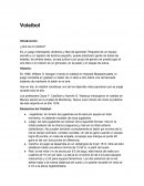 Voleibol. Elementos del Voleibol