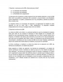 Describa la estructura de la IBM ¿Esta estructura inhibe?