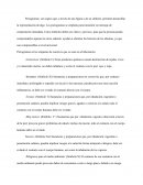 Pictogramas son signos que, a través de una figura o de un símbolo, permiten desarrollar la representación de algo