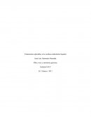 Tratamientos aplicables a los residuos industriales líquidos. Riles, rises y emisiones gaseosas