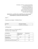 Aislamiento, cuantificación e identificación de bacterias uropatógenas, a partir de muestra de orina