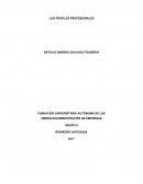 Los perfiles profesionales.