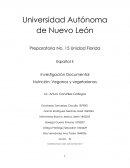 Nutrición: Veganos y vegetarianos