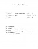 Licenciatura en Ciencias Policiales