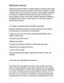 Maltrato Animal. Porque no se deben de maltratar a los animales