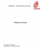 ¿Por qué es importante la creación de leyes en tu país?
