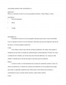 Observar y desarmar el motor en sus tres principales elementos: Culata, Bloque y Cárter.
