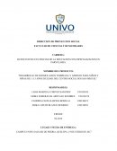 TEMA “DESARROLLO DE ESTIMULACION TEMPRANA Y APRESTO PARA NIÑOS Y NIÑAS DE 1 A 3 AÑOS DE EDAD DEL CENTRO SOCIAL SOS SAN MIGUEL”