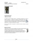 Comportamiento y estructura de materiales.