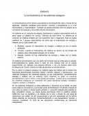 La termodinámica en los sistemas biológicos