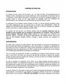 CAMPAÑA DE IRAK 2003