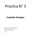Practica N° 3 Exudado faríngeo