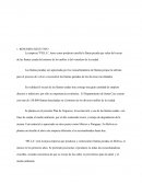 Proyecto Creación de empresa picadora de llantas.